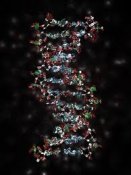 dna-krev.jpg